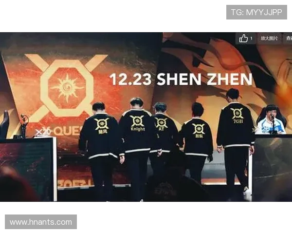 TES战队力克NIP成功晋级 季后赛冲刺战火再燃 电竞赛事激情对决一触即发