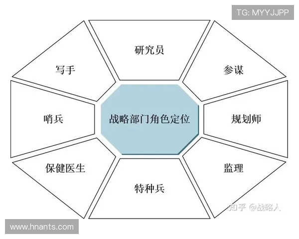 AL与CFO的职能差异及协作关系探析：企业战略中的重要角色解析