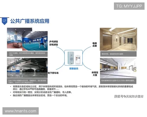 全球体育赛事发展趋势与科技创新的深度融合分析