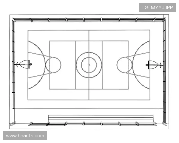 篮球技战术解析与训练方法全攻略 帮你提升球场表现与比赛意识