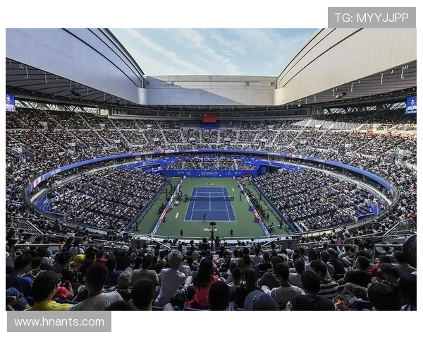 网球竞技的魅力与发展趋势探析从技术革新到全球文化传播