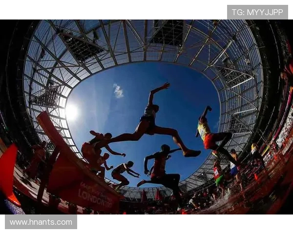 全力以赴挑战极限 体育比赛中的拼搏精神与团队协作解析