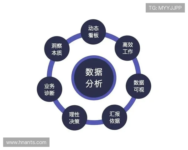 北京羽毛球队比赛经验分析与数据洞察探讨