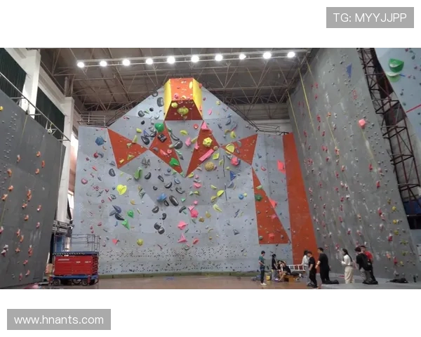 武汉攀岩队边路渗透战术解析与应用探讨